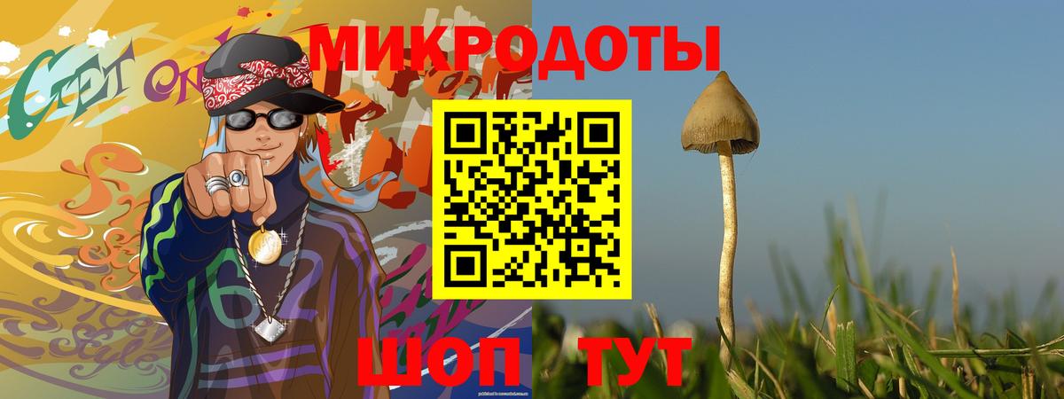 Псилоцибиновые грибы GOLDEN TEACHER  Вход с VPN  Псилоцибиновые грибы Psilocybine cubensis  Магнитогорск 